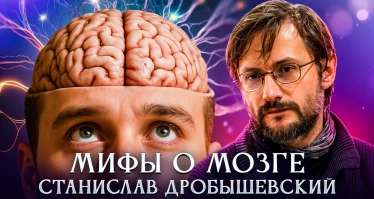 Мифы о мозге