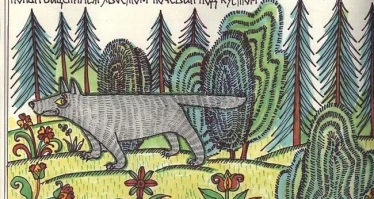 Животные как культурные маркеры: их образы в символике, геральдике, дизайне