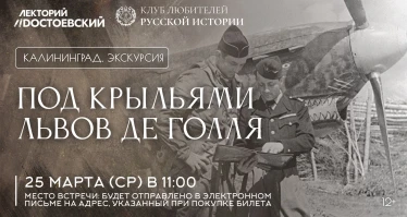 Под крыльями львов де Голля