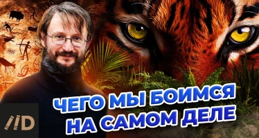 Чего мы боимся на самом деле? | Дробышевский